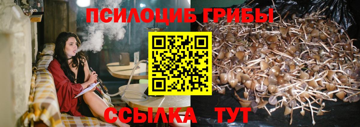 Галлюциногенные грибы ЛСД Сальск